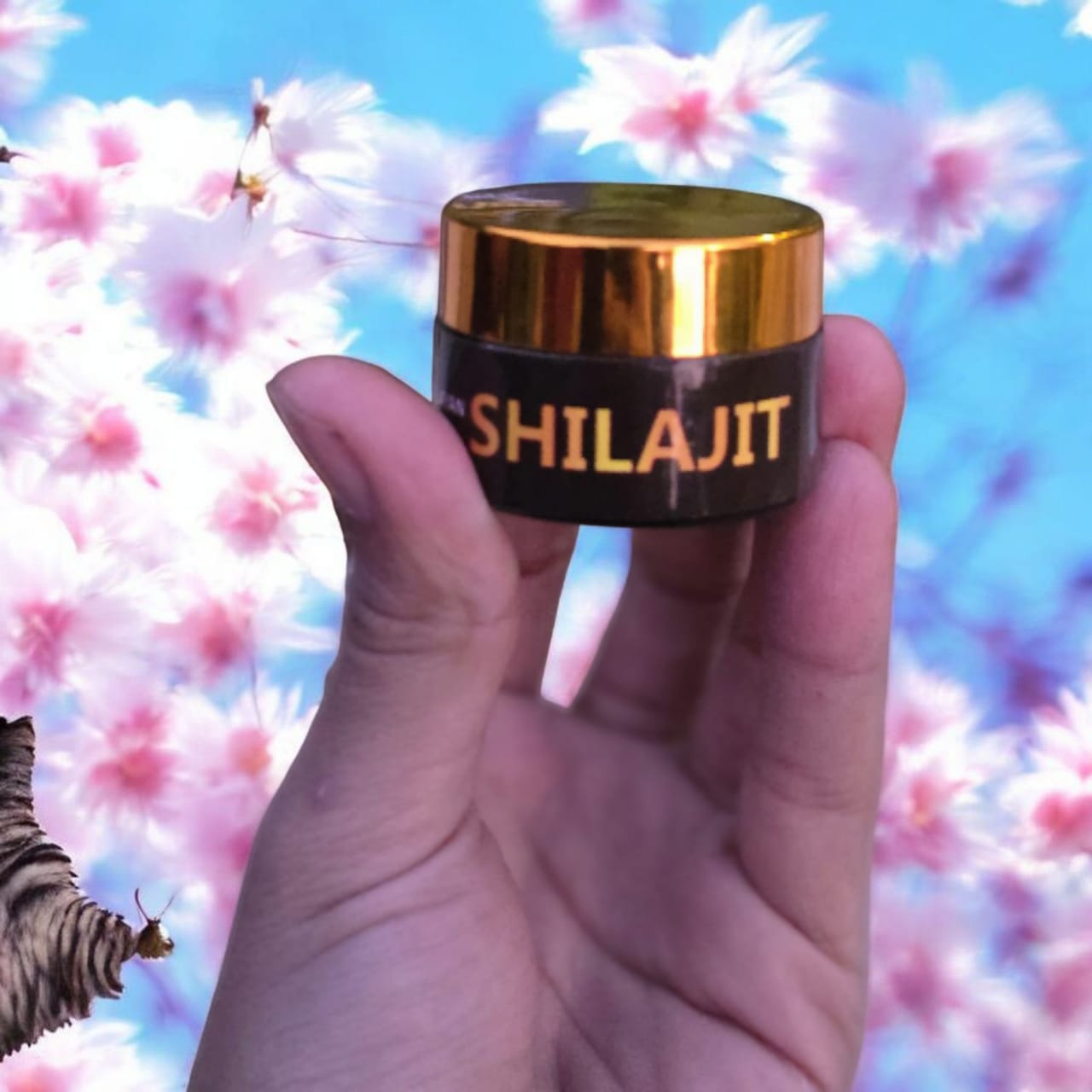 Hamalayan prime shilajit